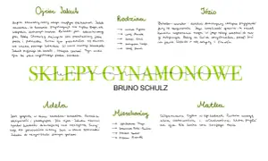 Ręcznie pisane notatki z analizą postaci i rodziny z "Sklepów cynamonowych" Bruna Schulza.