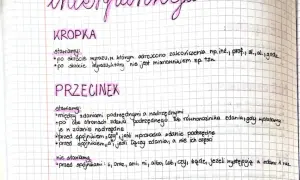 Ręcznie pisane notatki o interpunkcji: "Kropka" i "Przecinek" z zasadami ich stosowania.