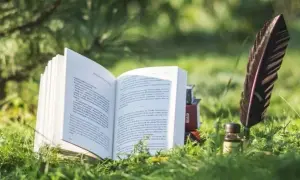Co to jest recenzja książki i jak wpływa na wybór lektury?