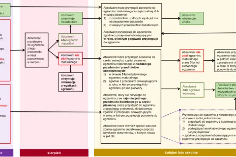 Schemat blokowy przedstawiający ścieżki absolwentów po egzaminie maturalnym.