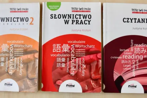 Trzy okładki książek do nauki języka polskiego: "Słownictwo 2", "Słownictwo w pracy" i "Czytanie".