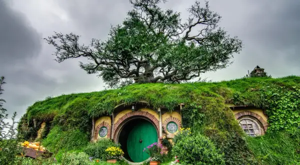Zielone drzwi hobbitowej nory pod drzewem, otoczone trawą i kwiatami.