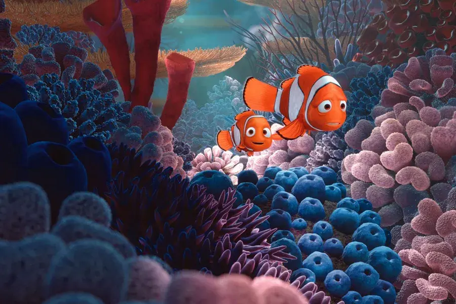 Gdzie jest Nemo książka - poznaj różne wersje i ich unikalne cechy