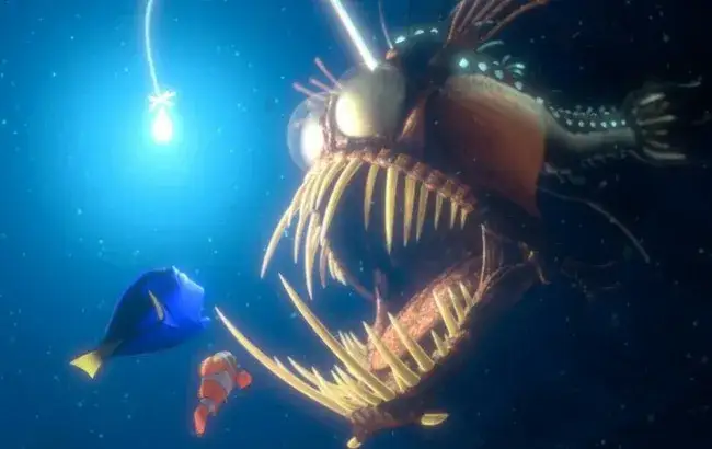 Zdjęcie Gdzie jest Nemo książka - poznaj różne wersje i ich unikalne cechy