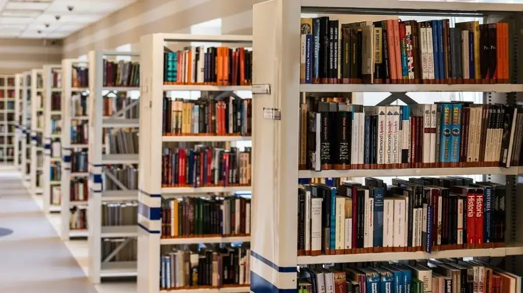 Zdjęcie Gdzie szukać literatury do pracy licencjackiej, aby uniknąć błędów?