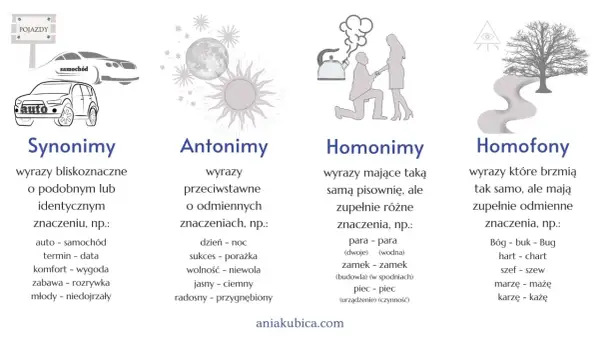 Ilustracje przedstawiające synonimy (auta), antonimy (księżyc i słońce), homonimy (para, zamek) i homofony (Bóg, buk).